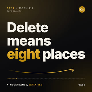 Episode 13 cover: Delete means eight places